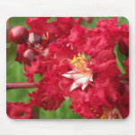Beautiful Myrtle Abstract Mousepad
