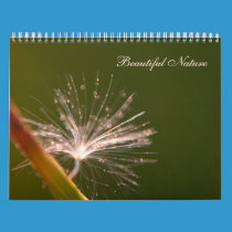 Beautiful Nature 2012 Calendar calendars