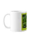 Beautiful Nature: bugs - Mug