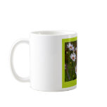 Beautiful Nature: Butterfly - Mug