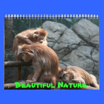 Beautiful Nature calendars