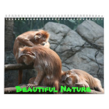 Beautiful Nature Calendars