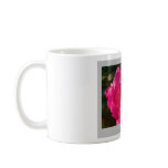 Beautiful Nature: Red Rose - Mug