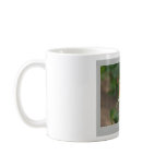 Beautiful Nature: Red Rose - Mug