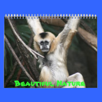 Beautiful Nature calendars