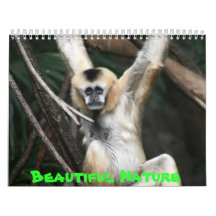 Beautiful Nature Wall Calendar