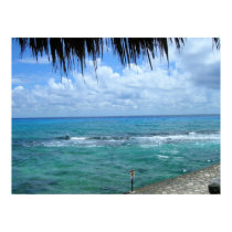 Beautiful Oceanview posters