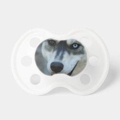 Beautiful One Blue Eye Siberian Husky BooginHead Pacifier