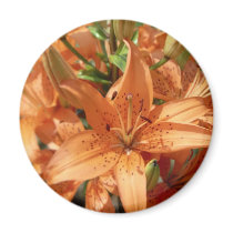 Beautiful Orange Flowers magnets