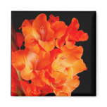 Beautiful Orange Gladiolas Fridge Magnet