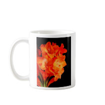 Beautiful Orange Gladiolas Coffee Mugs