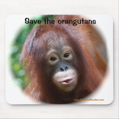 are the "red ape," so called because of their beautiful long red hair.