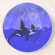 Beautiful Orca Whales Coaster