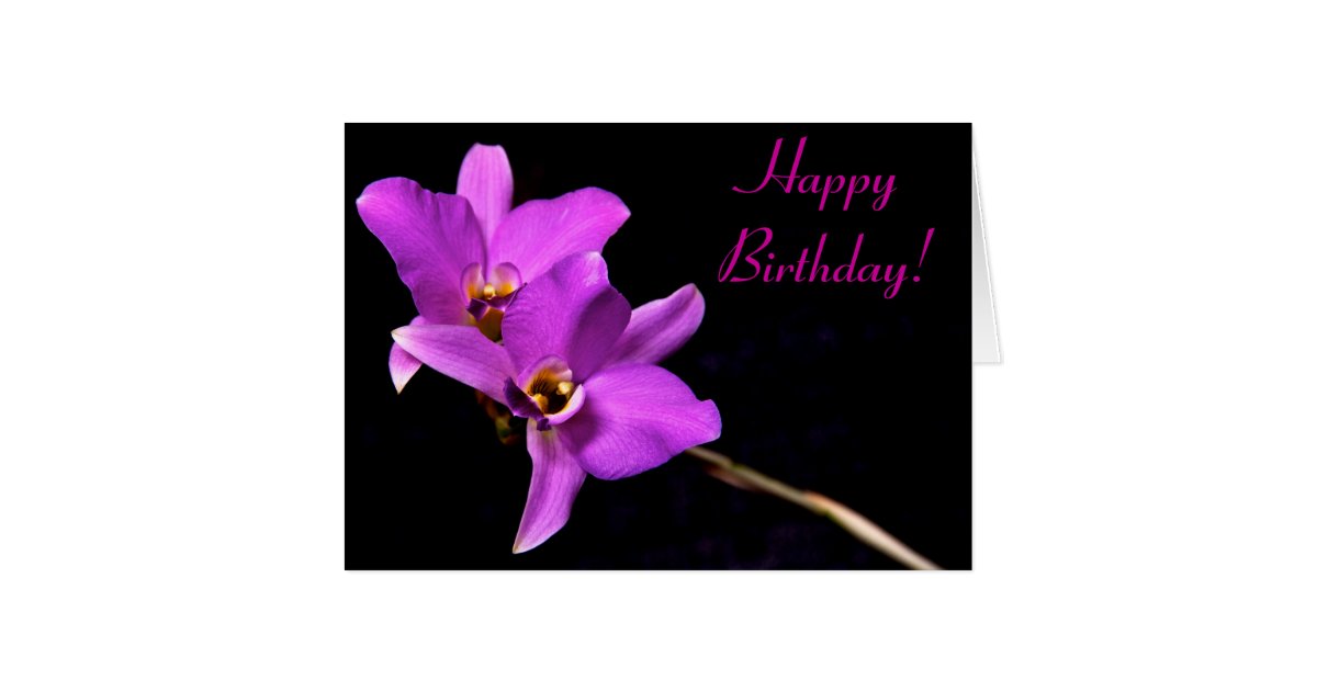 Beautiful Orchid Happy Birthday Card Zazzle