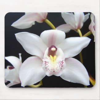 Beautiful Orchid mousepad
