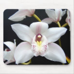 Beautiful Orchid Mouse Pads