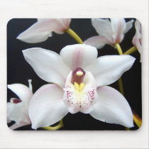 Beautiful Orchid mousepads