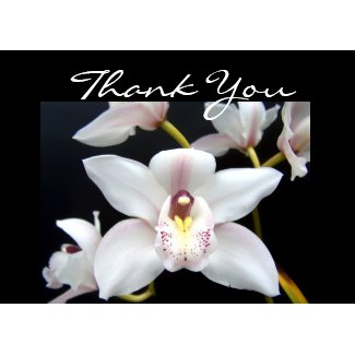 Beautiful Orchid thank you card