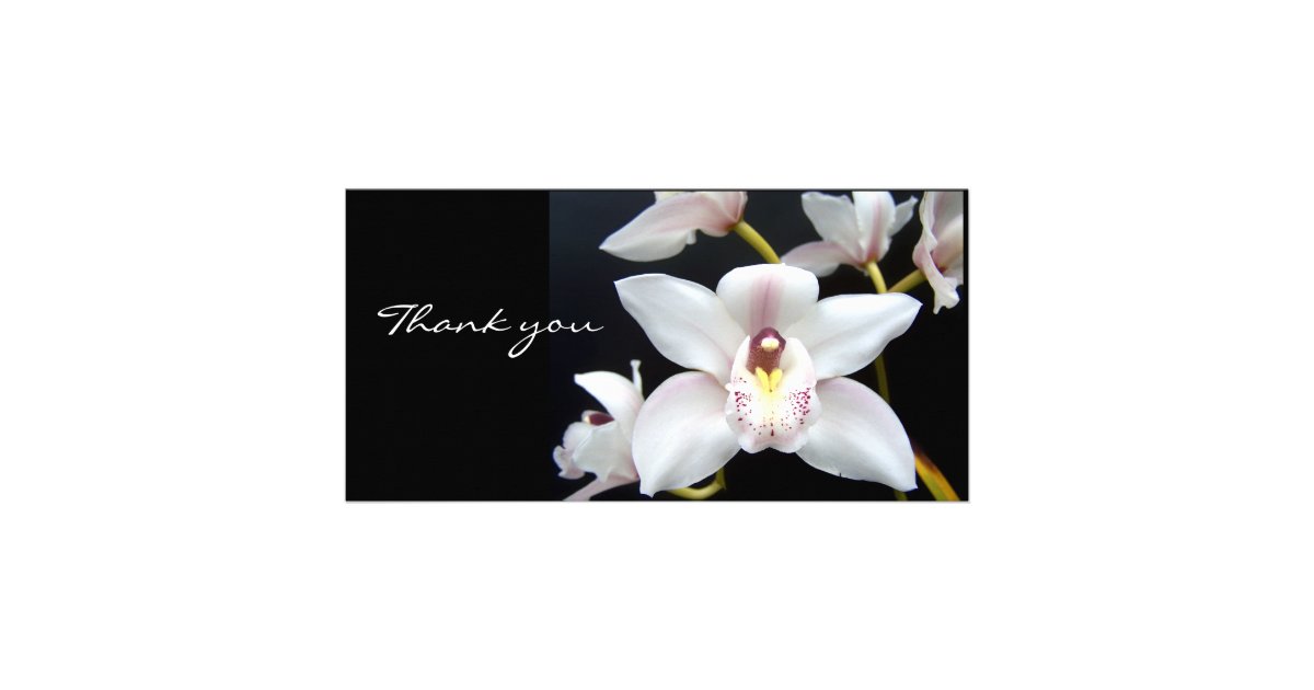 Beautiful Orchid thank you Photo Card | Zazzle