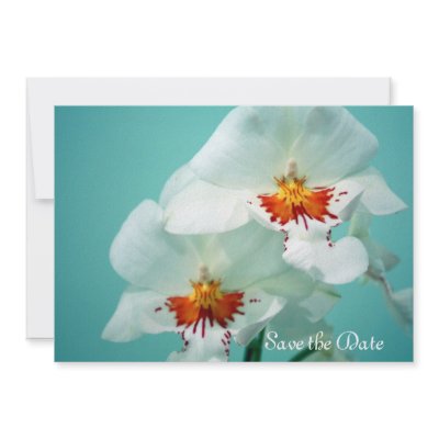 Beautiful Orchids Invitation and Announcement by Karedesign4