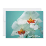 Beautiful Orchids Invitation and Announcement