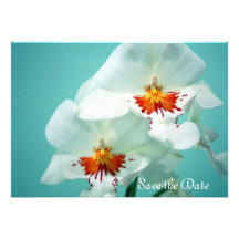 Beautiful Orchids Invitation and Announcement