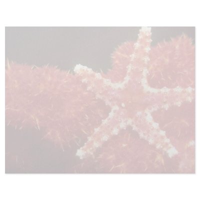 Beautiful Ornate starfish from the Fiji Islands Customized Letterhead by inspirelove