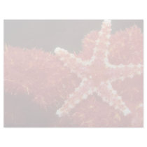 Beautiful Ornate starfish from the Fiji Islands Customized Letterhead