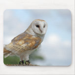 beautiful owl mouse mat mousepad