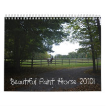 Beautiful Paint Horse 2010! calendars