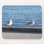 Beautiful Pair Of Seagulls On Sides Of Lake Mousepads