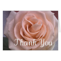 Beautiful Pale Pink Rose Thank You Card