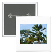 Beautiful Palms Buttons