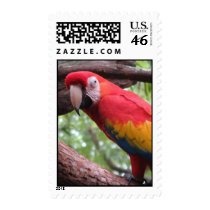 Beautiful Parrot Bird Postage Stamps by postage_stamps Beautiful Parrot Bird Postage Stamps