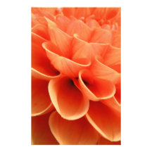 Beautiful Peach Colored Dahlia Flower Petals Stationery Design