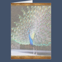 Beautiful Peacock cards