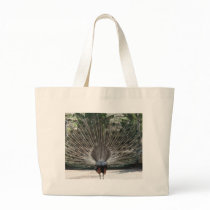 Beautiful Peacock From the Back Side Tote Bags