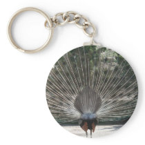 Beautiful Peacock From the Back Side Key Chains