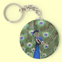 Beautiful peacock with its colorful tail opened keychains