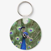 Beautiful peacock with its colorful tail opened keychains