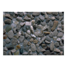 Beautiful Pebbles from Agate Beach, Bolinas Announcements