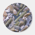 Beautiful Pebbles from Bar Harbor, Maine Fridge Magnet