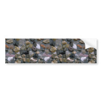Beautiful Pebbles from El Socorro, Baja Bumper Stickers