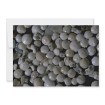 Beautiful Pebbles from Forams, Pernera, Cyprus Personalized Invitations