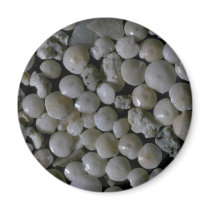 Beautiful Pebbles from Forams, Pernera, Cyprus Magnets