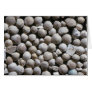 Beautiful Pebbles from Fossil forams, Belgium Card