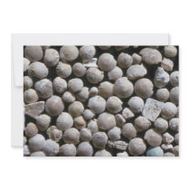 Beautiful Pebbles from Fossil forams, Belgium Personalized Announcement