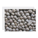Beautiful Pebbles from Fossil forams, Belgium Personalized Announcement