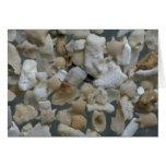 Beautiful Pebbles from Guam cards