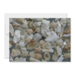 Beautiful Pebbles from Guam Custom Announcement